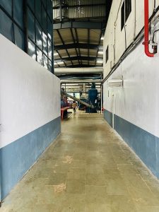 IMG_7489